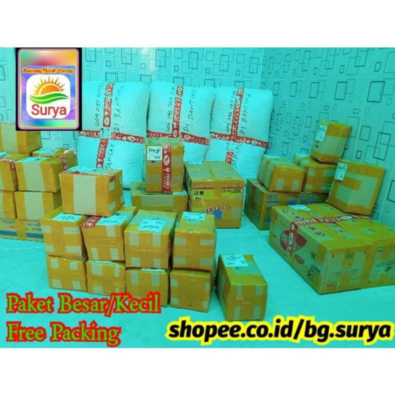 

Salt Bawang Putih Goreng ( 500 Gr ) Grade A Pj24