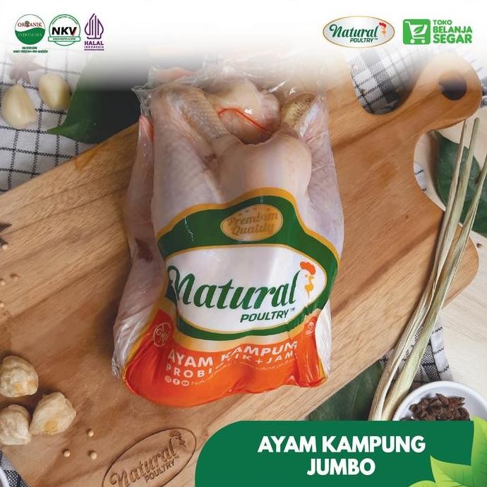 

Ayam Kampung Asli Jumbo (900 - 1000 Gram) - Natural Poultry