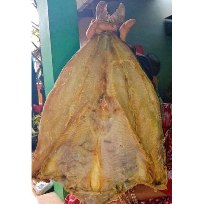 

TERLARIS Ikan Asin Jambal Roti Mentega Super Ngeprul Tanpa Tulang Asli Pangandaran Food Frozen