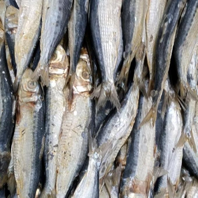 

ikan asin,banyak di sukai, banyak protein nya,ikan asin kering enak buat makan.