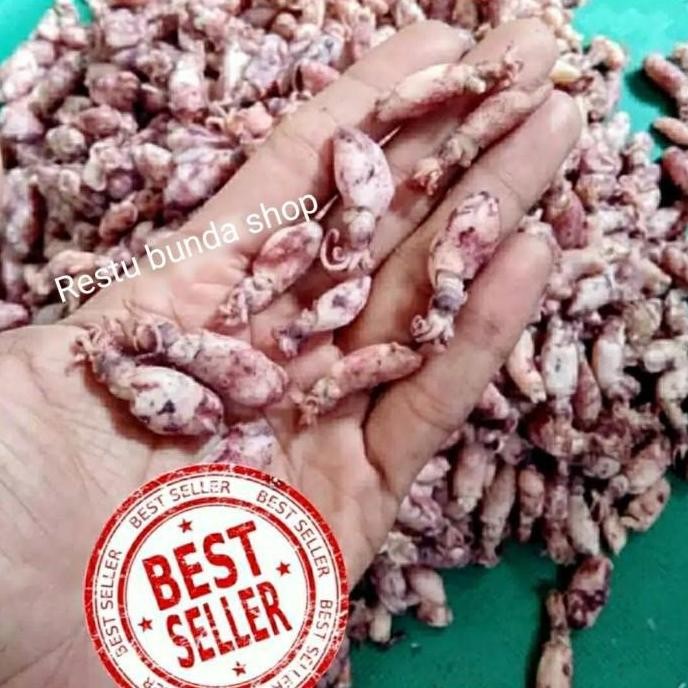 

New Beby Cumi 1Kg Ikan Asin High Quality