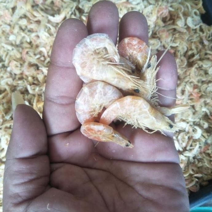 

Terlaris! Ikan Asin UDANG REBUS TAWAR gr cap TOKE BAGAN SIAPI API