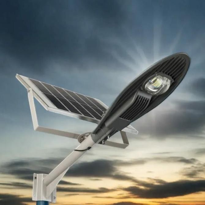 Lampu 1000Watt Jalan Solar Panel Lampu Jalan PJU Cobra Solar Cell Panel murah