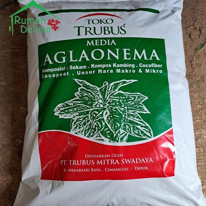 Media Tanam Aglonema Trubus Siap Pakai