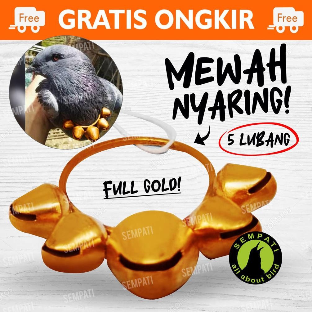 SEMPATI SAWANGAN KALUNG LONCENG KUNINGAN SAWANGAN MERPATI HATONG HOTANG PLUIT PELUIT LATIH BURUNG KL