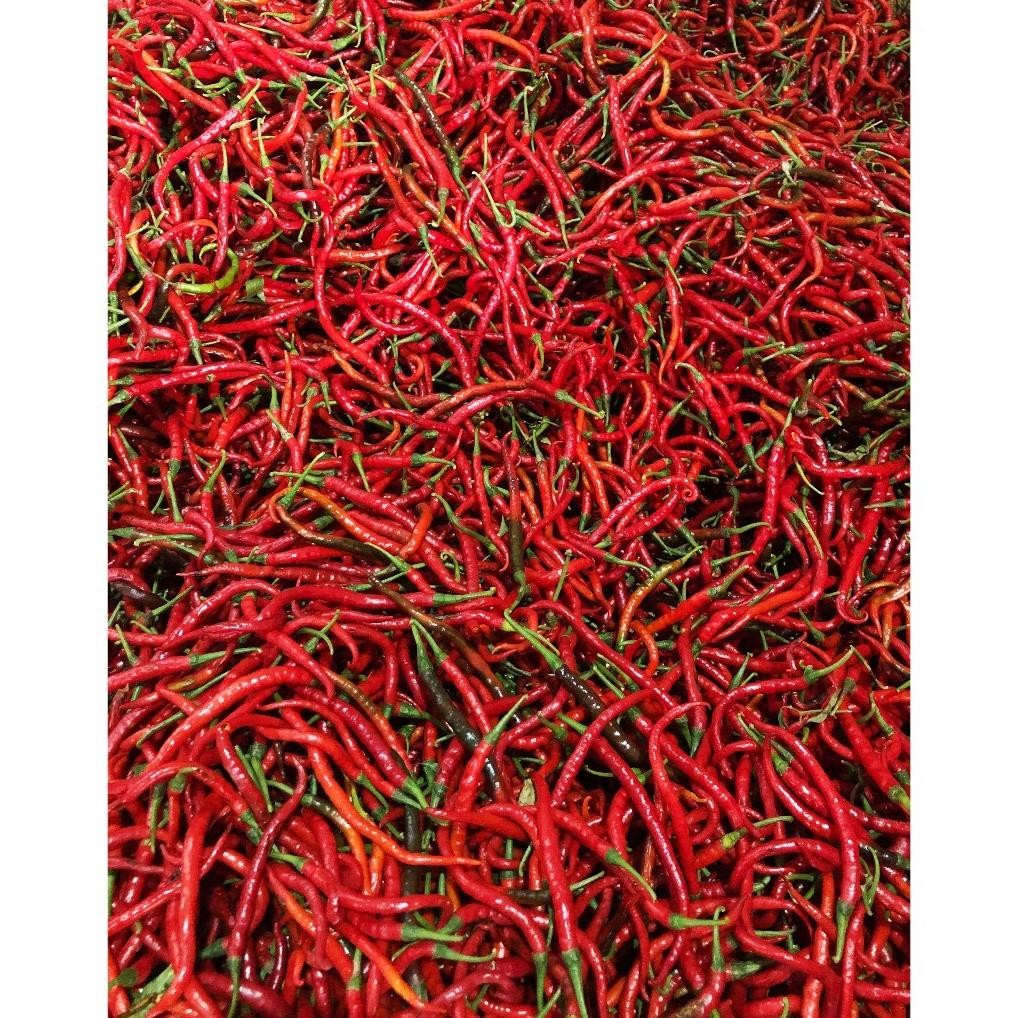 

Trendi Cabe/Cabai Merah Keriting 1 Kg Segar Asli Blitar
