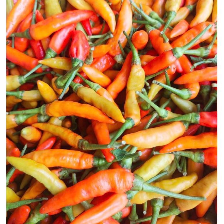 

Fitur Lengkap Cabe Rawit Merah Ori Fresh | Lombok Rawit Merah Ori Fresh 1Kg