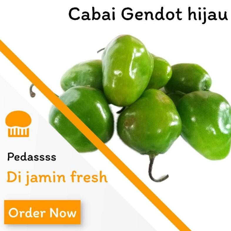 

Bisa Diandalkan Cabai Gendot Hijau Bandung 1 Kg Pengganti Cabai Rawit