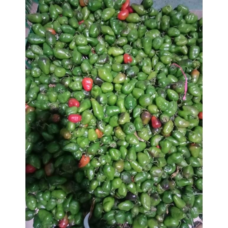 

Good Quality Cabe Gendot 500Gram