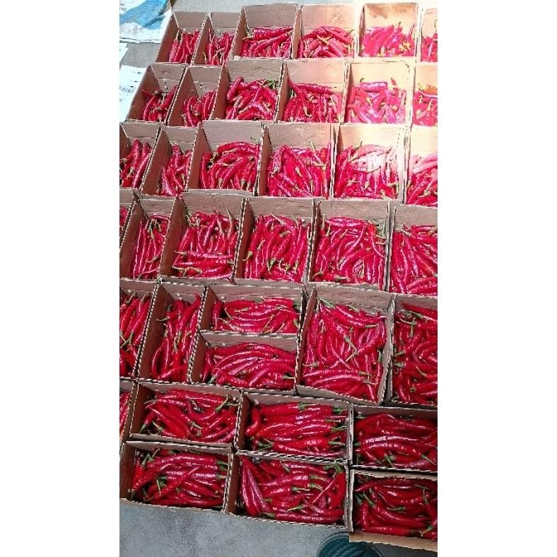 

Tangguh Cabe Merah Besar Tw Beauty Pedas Merah 1 Kg