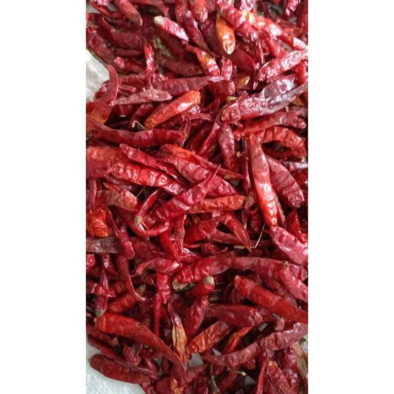 

Good Quality Kemasan 1Kg Cabe Rawit Teja Kering Infor India Kuakitas Bagus