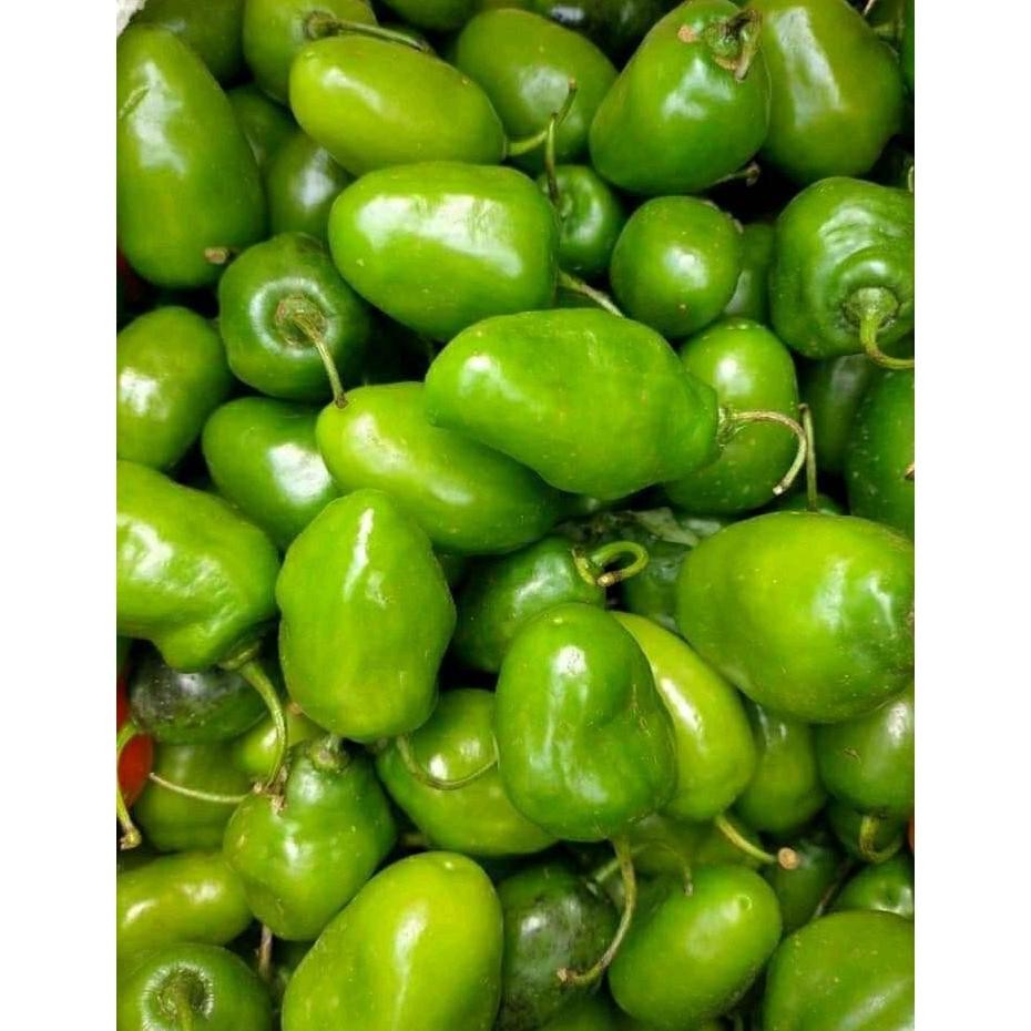 

New Arrival 250Gr Cabe Gendot Cabai Bendot Segar