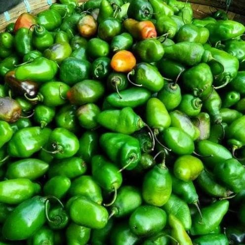 

Paling Dicari Cabe Gendot Fresh Murah Bandung