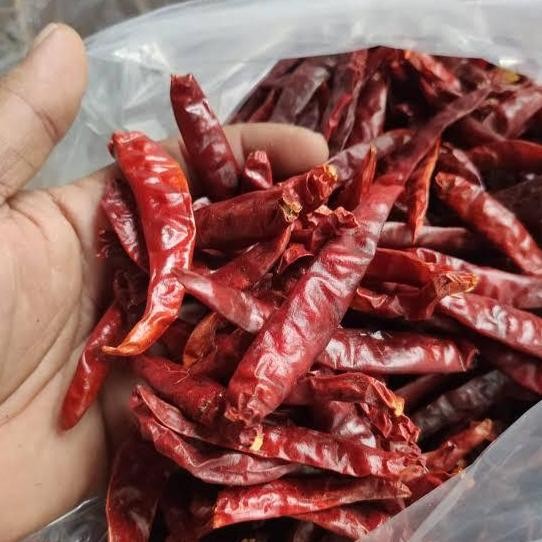 

Momen Spesial Cabe Kering | Cabe Merah Besar Kering Tanpa Tangkai | Kemasan Vakum