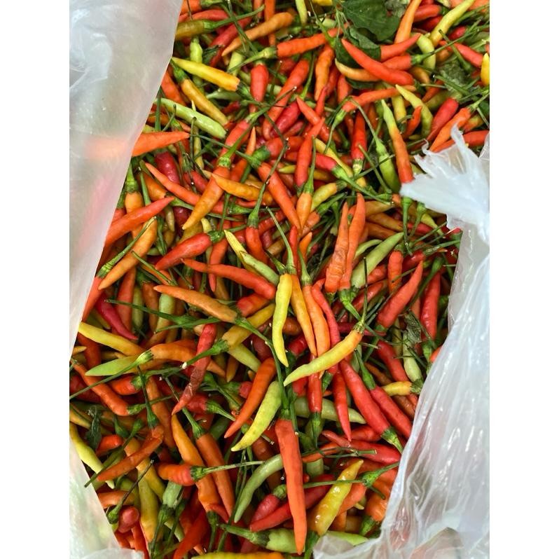 

Garansi Cabe Rawit Ori Probolinggo 1Kg