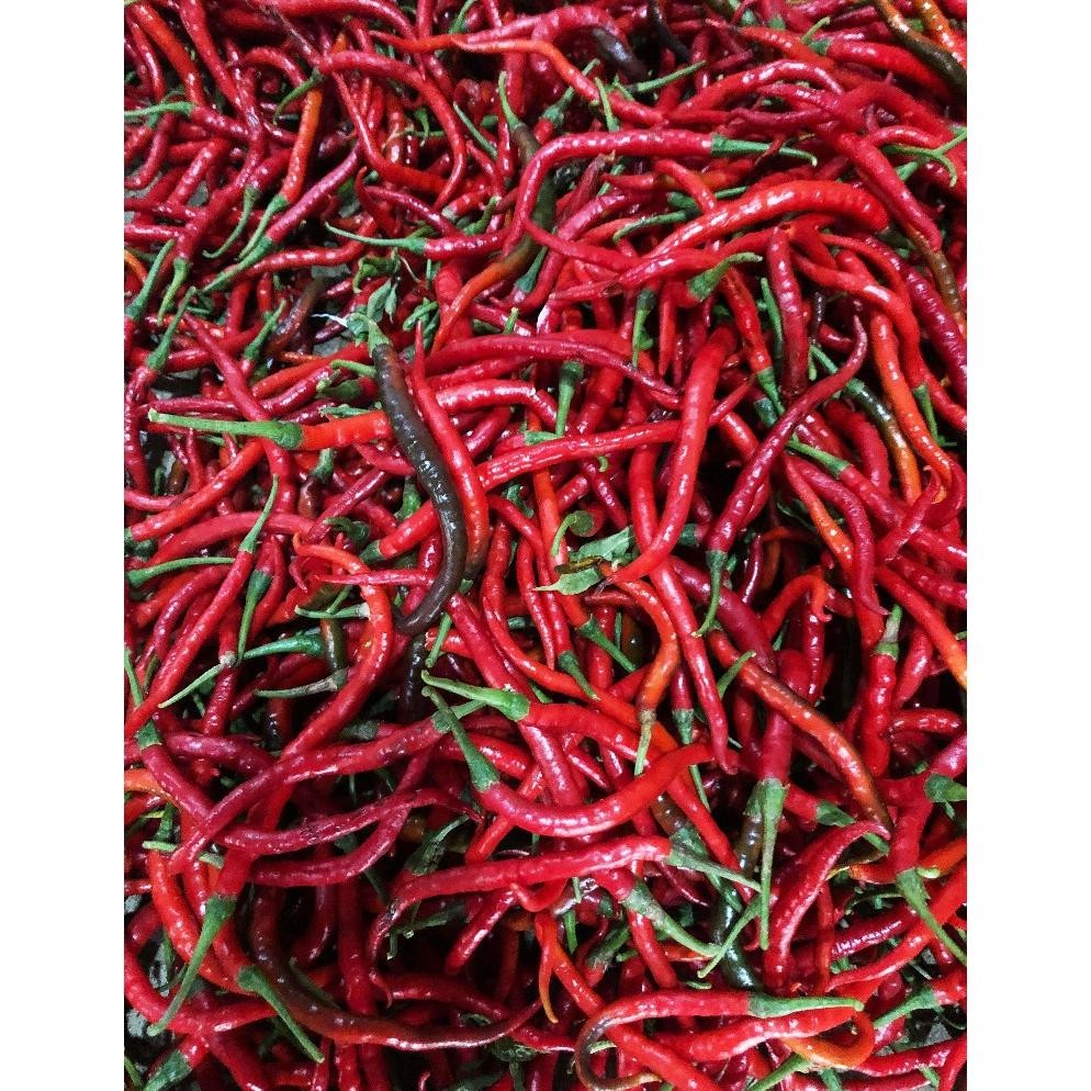 

Keunggulan Cabe/Cabai Merah Keriting 1 Kg Segar Asli Blitar