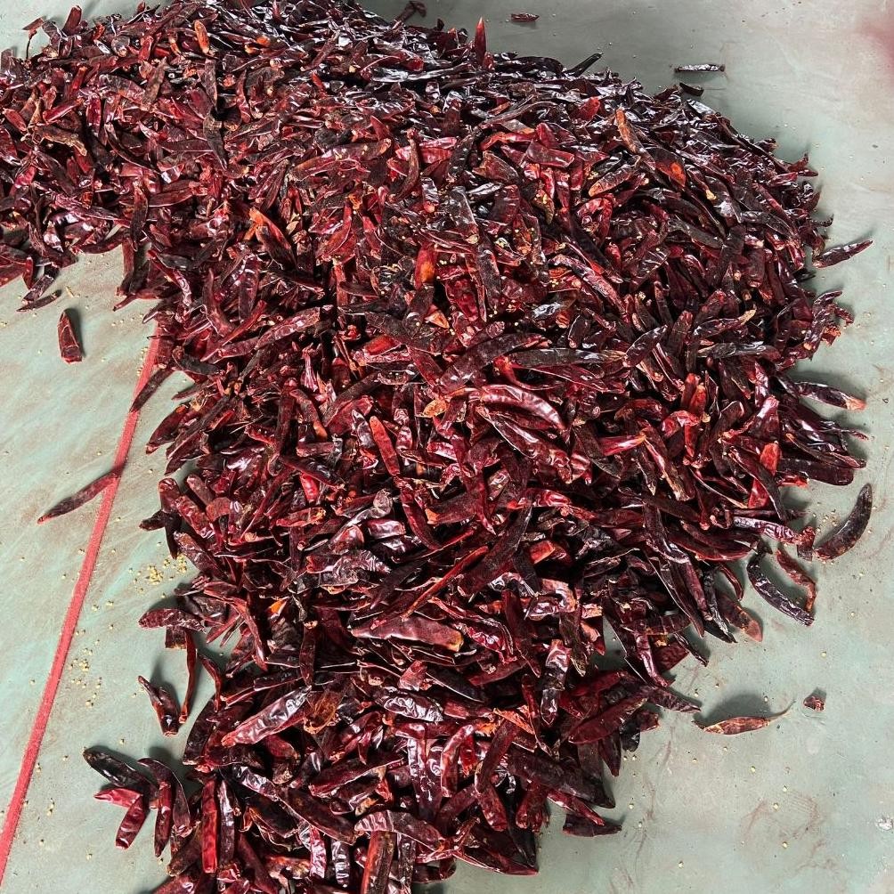 

Mampu Bersaing Cabe Merah Kering Besar Wonder Hot 1 Kg Tanpa Tangkai Tidak Pedas Bumbu Merah Kualitas Premium