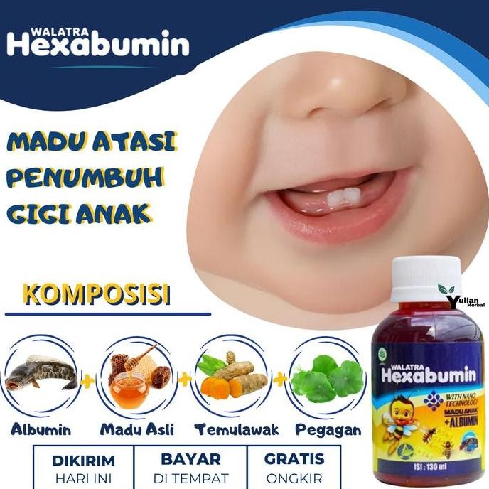 

TERMURAH HEXABUMIN MADU ANAK GIGI TUMBUH - VITAMIN TUMBUH GIGI & GUSI ANAK