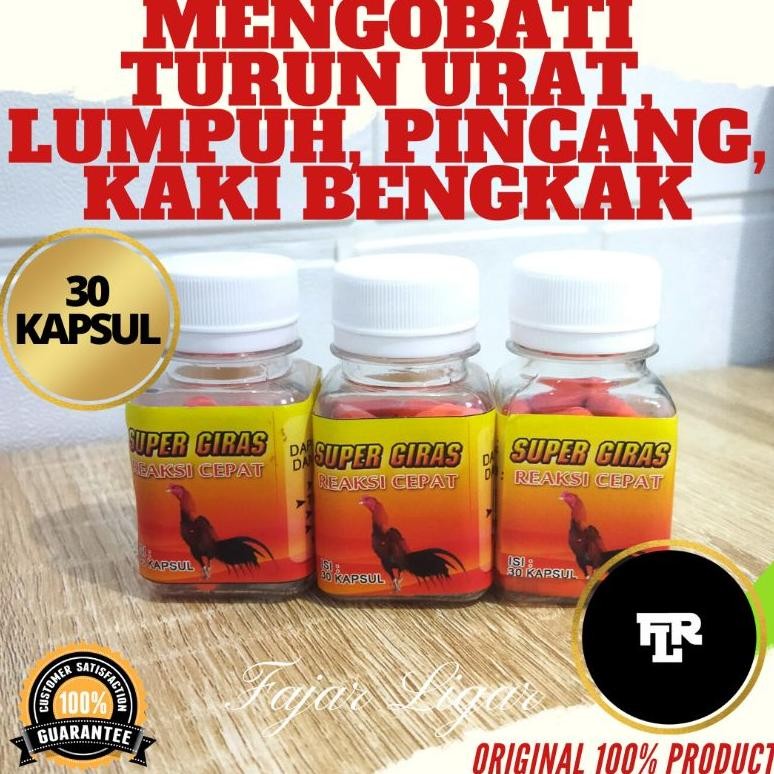NEWW KAPSUL TURUN URAT AYAM GIRAS OBAT AYAM TURUN URAT LUMPUH BENGKAK