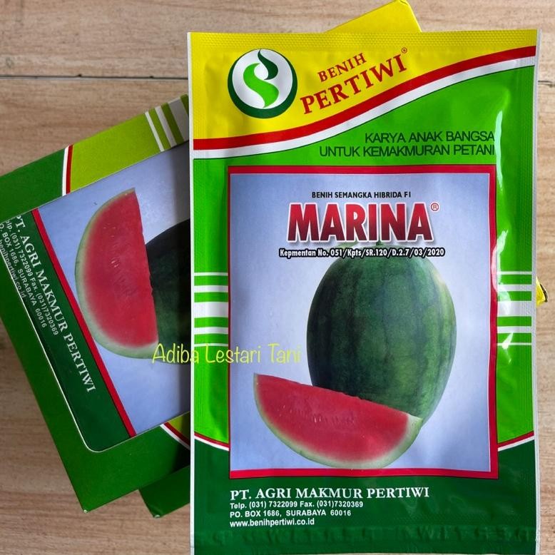 Benih Semangka Marina F1 20 Gram - Semangka Hibrida Non Biji Cap Benih Pertiwi