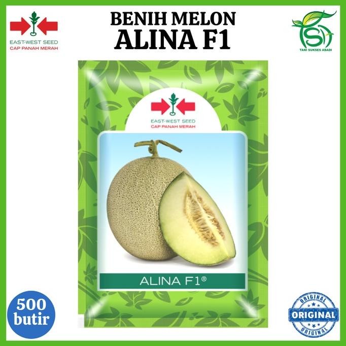 Benih Melon ALINA F1 500 Biji - Bibit Cap Panah Merah Tahan Virus