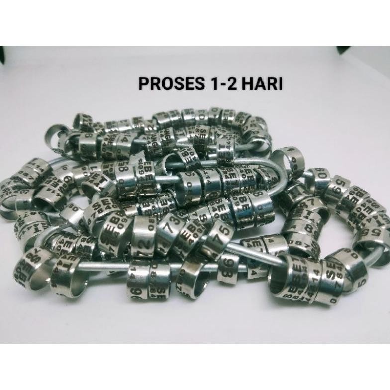 RING MERPATI BAJA TANGGUNG ISI 25 BIJI