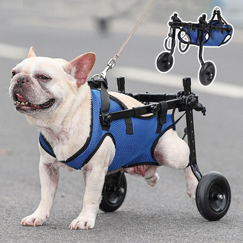 Pet Wheelchair Kursi Roda Alat Bantu Jalan Kucing Anjing Wheelchair Alat Bantu Anjing Peliharaan - L