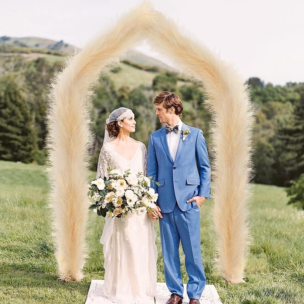 Uk-12 12 Batang Daun Kering Pampas Bulu | Pampas Rayung Lokal