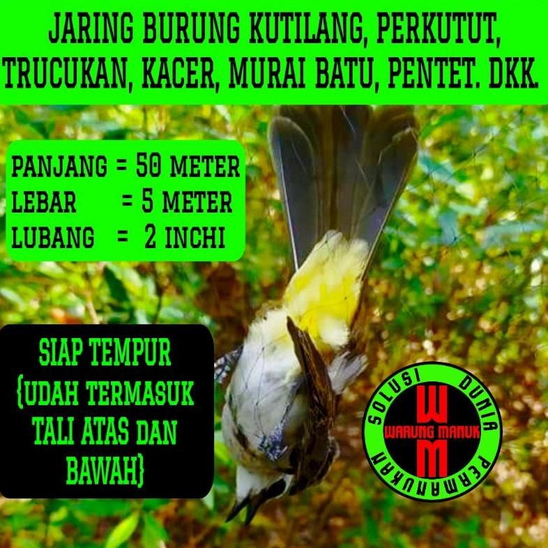 Jala burung kutilang 50x5 perangkap burung perkutut jebakan burung kacer trucuk jaring burung siap p
