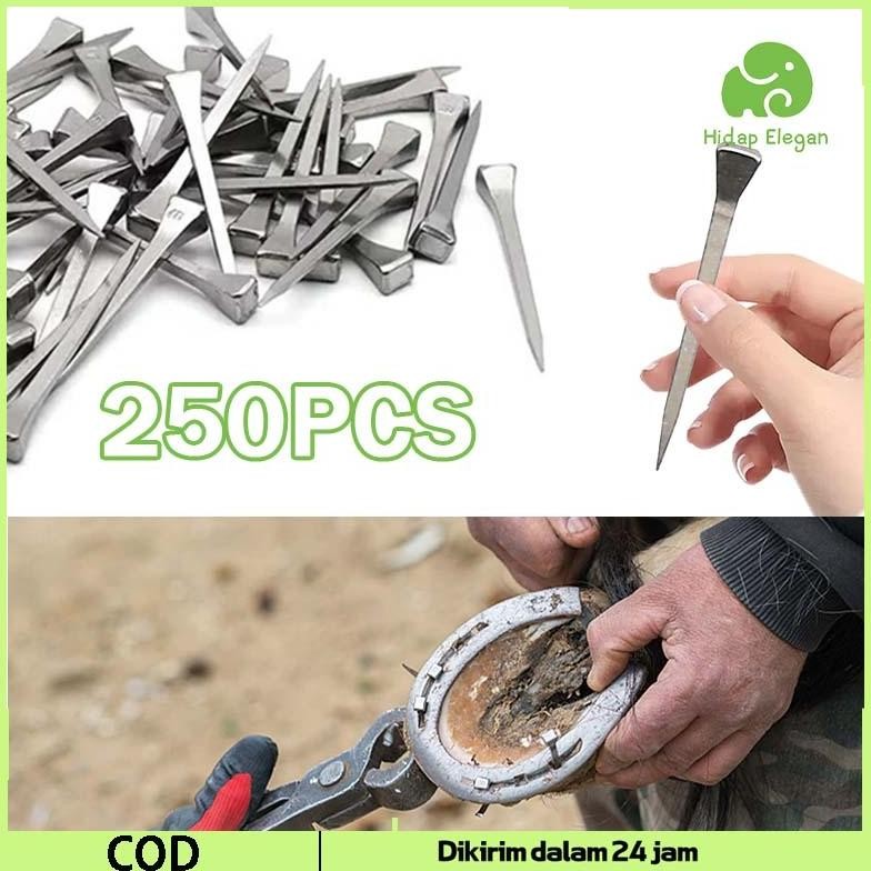 250 Pcs E3 Import Paku Sepatu Kuda Stainless Steel Paku Sepatu Kuda Paku Kuda Paku Tapal Kuda Pacu H