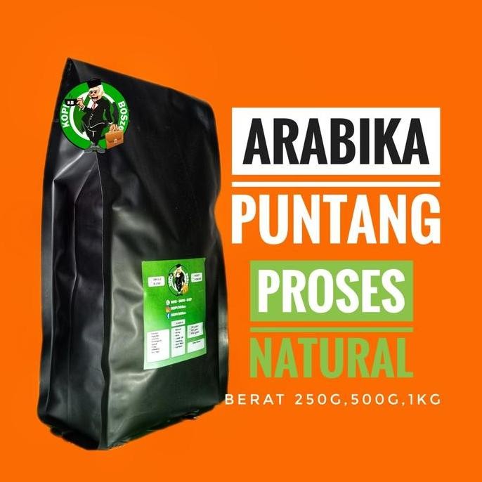 

READY BIJI KOPI ARABIKA PUNTANG MEDIUM ROAST | 1KG 500GR NATURAL V60 TUBRUK