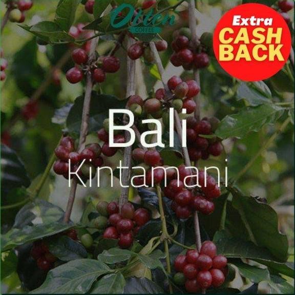 

READY GREEN BEAN KOPI ARABIKA BALI KINTAMANI 1KG | BIJI MENTAH SIAP ROASTING OTTEN
