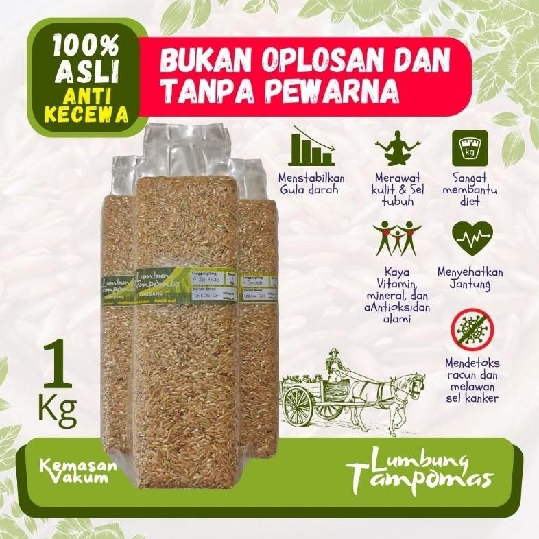 

Beras Coklat Asli Lumbung Tampomas Kualitas Terbaik Kemasan FoodGrade Microbafilter [GRATIS BUBBLEWRAP] Nugi