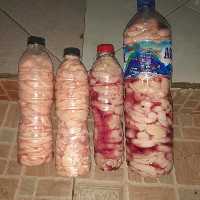 Otot Sapi Murni Umpan Galatama