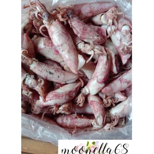 

Cumi Asin 100gram-250gram