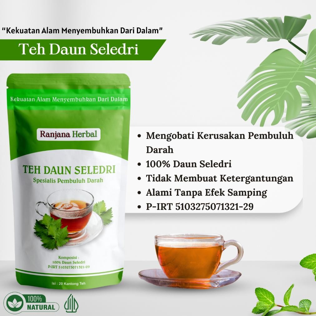 

Pasang Ring Jantung Batal, Sehat Sembuh Alami Dengan Program Teh Daun Seledri Ranjana Herbal Nugi