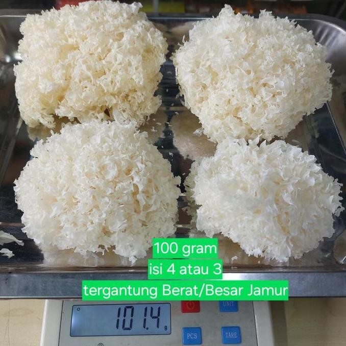 

Jamur Salju Viral 100 Gram SambalBumbu Thailand Jamur Es Viral Jamur Putih Kering
