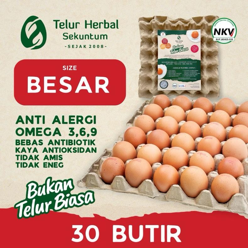 

Telur Herbal Sekuntum (30 Butir) Besar & Kecil - Telor Ayam Anti Alergi Omega 3 6 9 Bebas Antibiotik Nugi