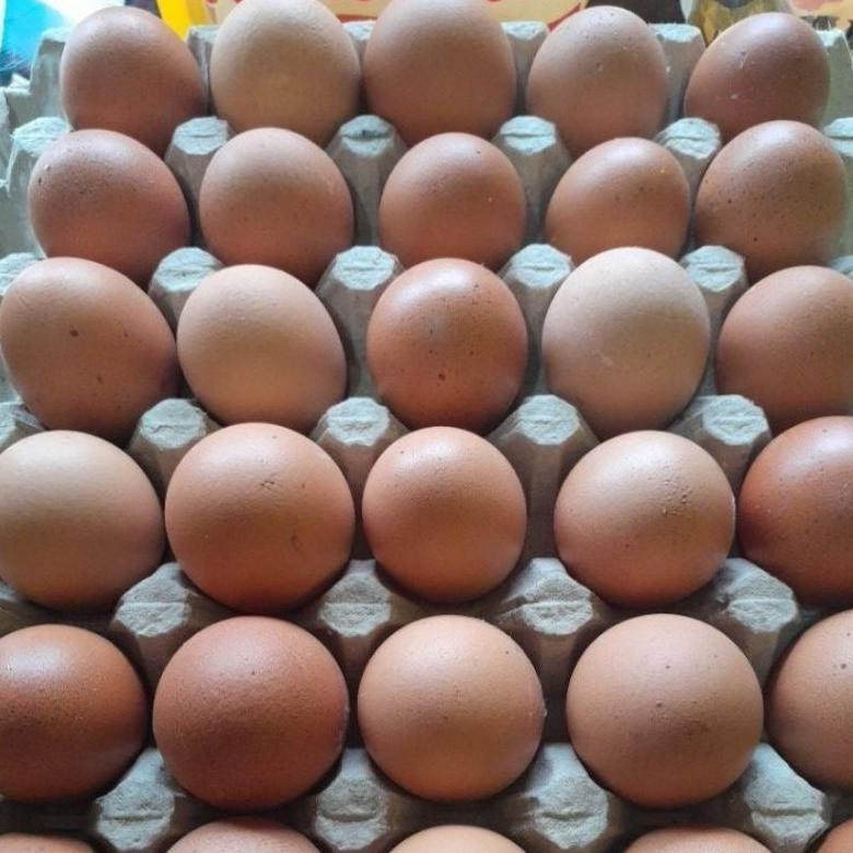 

Telur Ayam Lokal 1kg Nugi