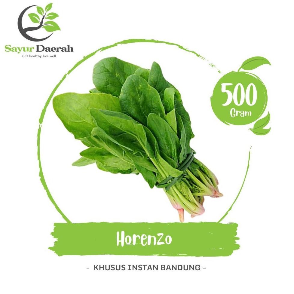 

Bayam Jepang Horenso Horenzo 500 Gr | Sayur Daerah Nugi