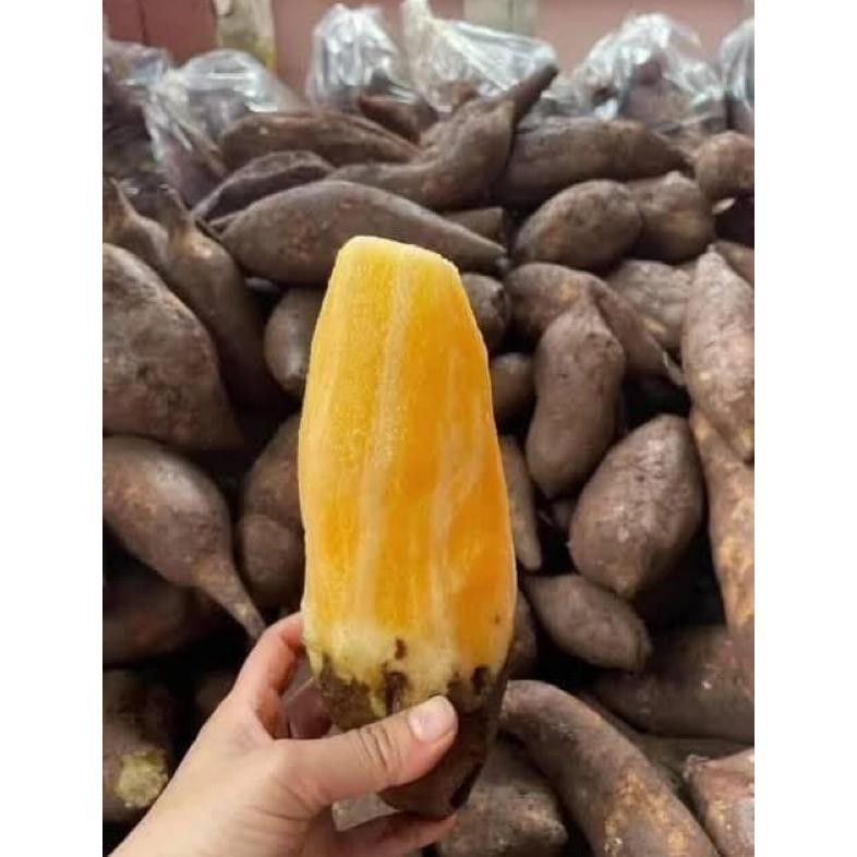 

ubi yakon 400gr Nugi