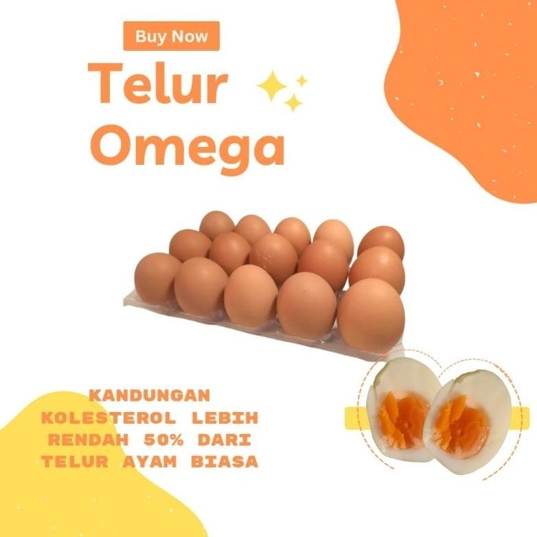 

Telur Omega 3 Ayam Negeri Fresh 15 Butir Khusus Bandung Nugi
