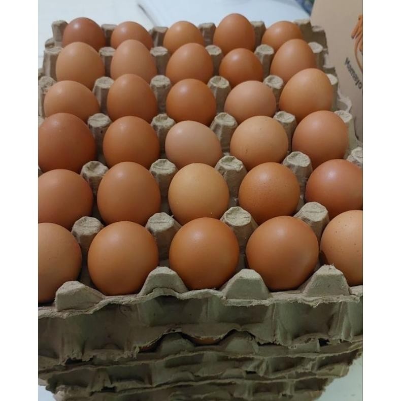 

Telur Ayam Negeri 1kg 16,17 - 18 butir (gojek instan/sameday) Nugi