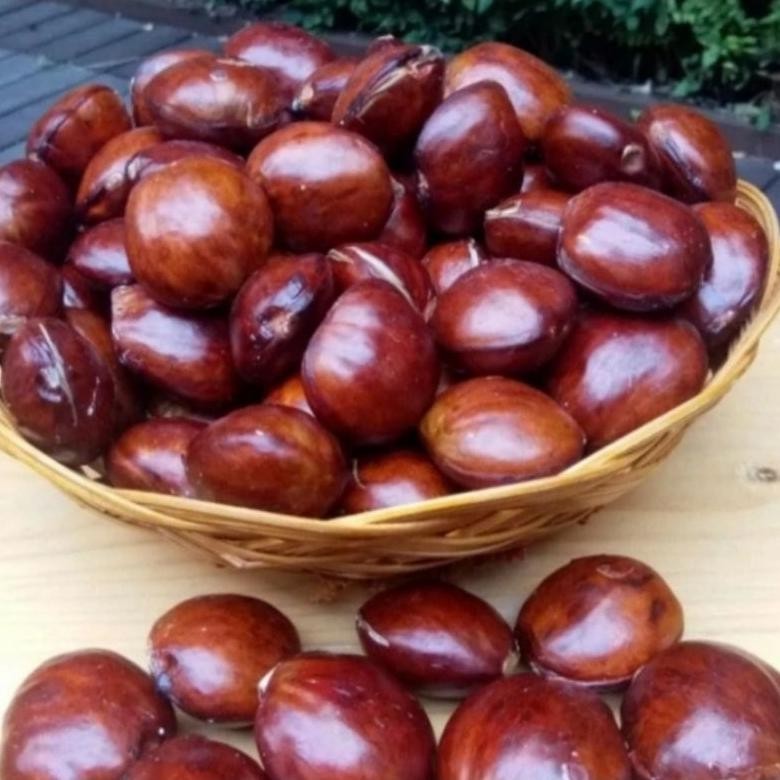 

Jengkol tua 250gr Nugi