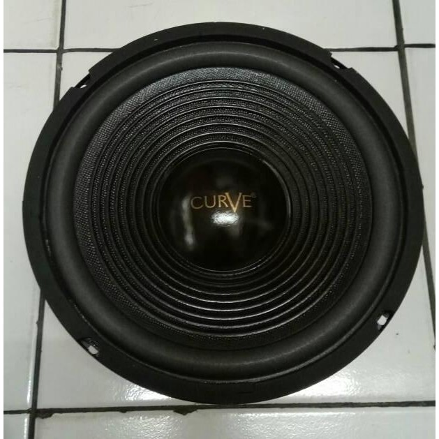 Speaker CURVE 10 Inch