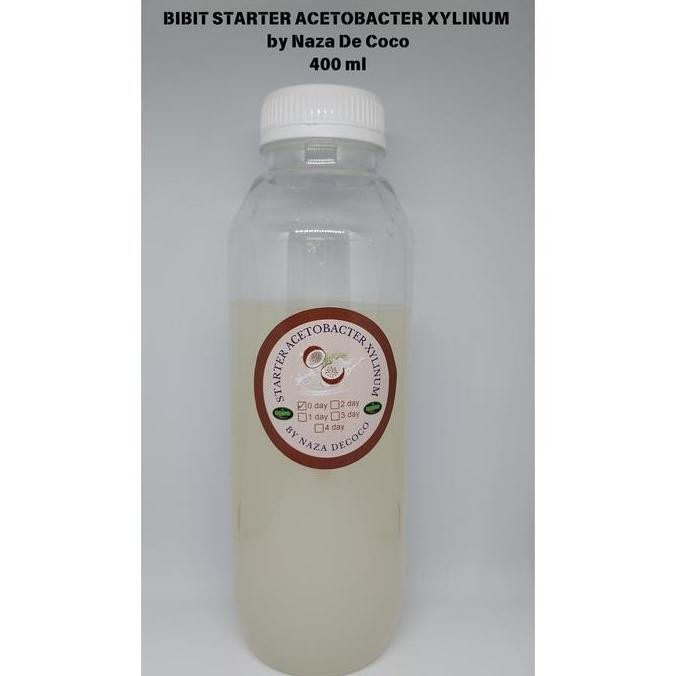 Bibit Nata De Coco Starter Acetobacter by NAZA