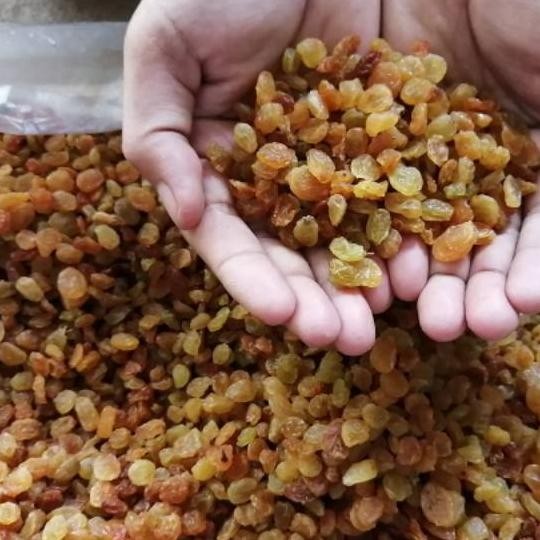 

Kismis Dari Arab Ukuran Grm Ter 35. Exp 52026