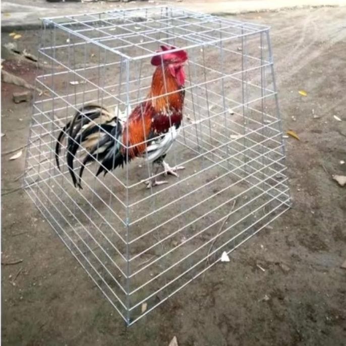 Kandang ayam galvanis lipat ,kurungan ayam lipat galvanis piramida antilarat ,kurung besi flexible T