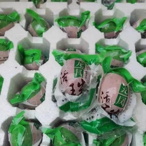 

Produk Baru!! Telur Balut Ayam China Import Viral Siap Makan - Harga per Butir