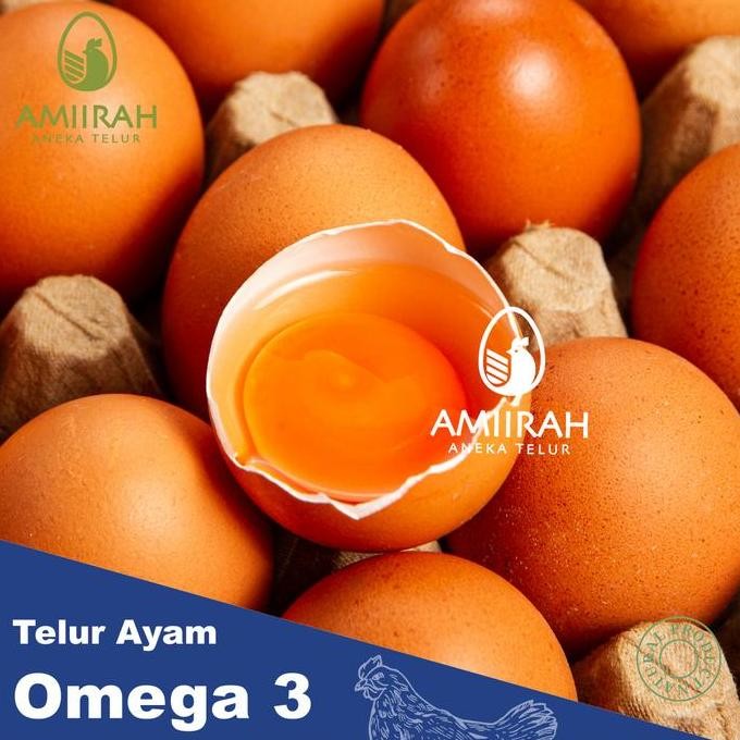 

Produk Baru!! Telur Negeri Omega 3 per Kg (Isi 15-17 Butir) - Fresh dan Bergizi